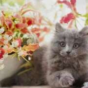 ヒメ日記 2025/11/22 23:46 投稿 ゆきこ 熟女総本店 日本橋ミナミエリア店