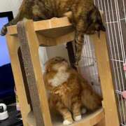 ヒメ日記 2025/11/23 17:46 投稿 ゆきこ 熟女総本店 日本橋ミナミエリア店