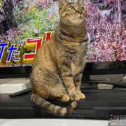 ヒメ日記 2025/11/28 13:06 投稿 ゆきこ 熟女総本店 日本橋ミナミエリア店