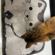 ゆきこ お礼です 熟女総本店 日本橋ミナミエリア店