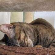 ゆきこ おはようございます⊂((・x・))⊃ 熟女総本店 日本橋ミナミエリア店