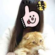 ヒメ日記 2025/12/09 12:46 投稿 ゆきこ 熟女総本店 日本橋ミナミエリア店