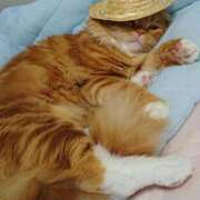 ヒメ日記 2025/12/09 17:46 投稿 ゆきこ 熟女総本店 日本橋ミナミエリア店