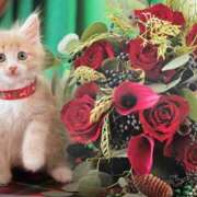 ヒメ日記 2025/12/09 23:36 投稿 ゆきこ 熟女総本店 日本橋ミナミエリア店