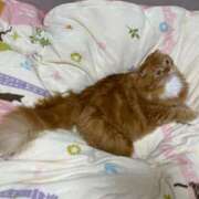 ヒメ日記 2025/12/14 12:13 投稿 ゆきこ 熟女総本店 日本橋ミナミエリア店