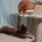 ヒメ日記 2025/12/14 23:36 投稿 ゆきこ 熟女総本店 日本橋ミナミエリア店