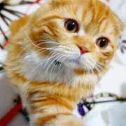 ヒメ日記 2025/12/20 20:06 投稿 ゆきこ 熟女総本店 日本橋ミナミエリア店