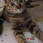 ヒメ日記 2025/12/21 14:36 投稿 ゆきこ 熟女総本店 日本橋ミナミエリア店