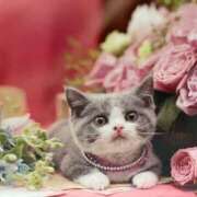 ゆきこ お礼です 熟女総本店 日本橋ミナミエリア店