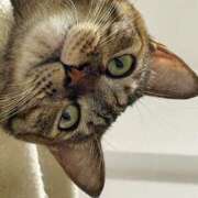 ヒメ日記 2026/02/28 19:56 投稿 ゆきこ 熟女総本店 日本橋ミナミエリア店