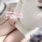 ヒメ日記 2025/11/10 10:43 投稿 うか 手コキガールズコレクション