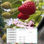 ヒメ日記 2026/03/01 17:13 投稿 うか 手コキガールズコレクション