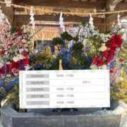 ヒメ日記 2026/03/21 17:03 投稿 うか 手コキガールズコレクション