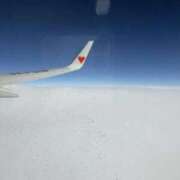 ヒメ日記 2025/11/15 14:17 投稿 しいな 秋葉原鑑賞ガール