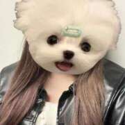 ヒメ日記 2025/11/27 12:27 投稿 しいな 秋葉原鑑賞ガール