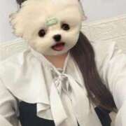 ヒメ日記 2025/12/02 19:57 投稿 しいな 秋葉原鑑賞ガール