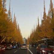 ヒメ日記 2026/01/17 19:09 投稿 りつ とある風俗店♡やりすぎさーくる新宿大久保店♡で色んな無料オプションしてみました