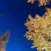 ヒメ日記 2026/01/24 19:29 投稿 りつ とある風俗店♡やりすぎさーくる新宿大久保店♡で色んな無料オプションしてみました