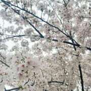 ヒメ日記 2026/04/09 14:15 投稿 りつ とある風俗店♡やりすぎさーくる新宿大久保店♡で色んな無料オプションしてみました