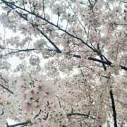 ヒメ日記 2026/04/09 14:28 投稿 りつ とある風俗店♡やりすぎさーくる新宿大久保店♡で色んな無料オプションしてみました