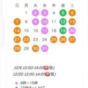ヒメ日記 2025/11/18 11:59 投稿 桜井　かれん FORTE