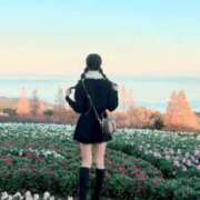 ヒメ日記 2025/12/06 19:59 投稿 桜井　かれん FORTE