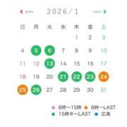 ヒメ日記 2025/12/12 09:42 投稿 桜井　かれん FORTE