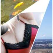 ヒメ日記 2026/01/03 13:33 投稿 綾瀬 モアグループ南越谷人妻花壇