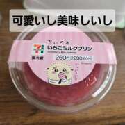 ヒメ日記 2025/12/31 11:00 投稿 七海 松戸おかあさん