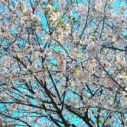 ヒメ日記 2026/04/03 21:48 投稿 七海 松戸おかあさん