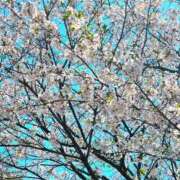 ヒメ日記 2026/04/03 21:55 投稿 七海 松戸おかあさん