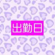 七海 出勤日 松戸おかあさん