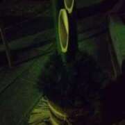 ヒメ日記 2025/12/26 20:50 投稿 矢野　みさ子 30・40・50代☆人妻熟女コレクション