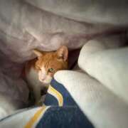 ヒメ日記 2026/01/21 15:12 投稿 あおい 妻天 尼崎店