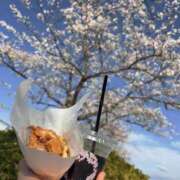 ヒメ日記 2026/04/07 13:04 投稿 あおい 妻天 尼崎店