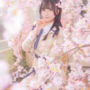 ヒメ日記 2026/04/04 11:25 投稿 かのん E+アイドルスクール品川店