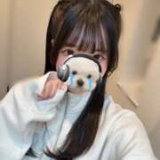 ヒメ日記 2026/04/04 19:23 投稿 かのん E+アイドルスクール品川店