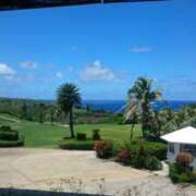 ヒメ日記 2025/11/25 12:52 投稿 ちなつ 玉乱☆痴（たまらんち）