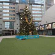 ヒメ日記 2025/12/12 12:00 投稿 ちなつ 玉乱☆痴（たまらんち）