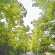 ヒメ日記 2026/07/26 07:46 投稿 西田かな おいしい奥様