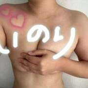 ヒメ日記 2025/10/31 09:09 投稿 いのり 五反田人妻ヒットパレード（シンデレラグループ）