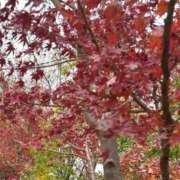 いのり ? 五反田人妻ヒットパレード（シンデレラグループ）