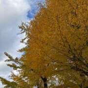 ヒメ日記 2025/12/12 10:29 投稿 いのり 五反田人妻ヒットパレード（シンデレラグループ）