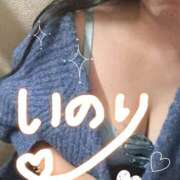 ヒメ日記 2026/02/11 17:16 投稿 いのり 五反田人妻ヒットパレード（シンデレラグループ）