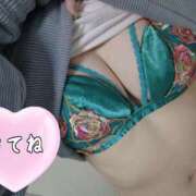 ヒメ日記 2026/02/25 12:02 投稿 沙羅-さら【FG系列】 ほんつま千葉店（FG系列）