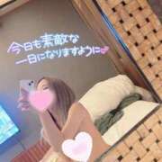 ヒメ日記 2025/11/06 08:49 投稿 いぶ 奥様プリモ