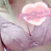 ヒメ日記 2025/11/06 14:29 投稿 いぶ 奥様プリモ