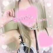 ヒメ日記 2025/11/12 23:29 投稿 いぶ 奥様プリモ