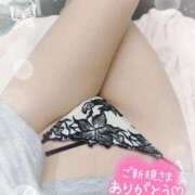 ヒメ日記 2025/11/14 00:49 投稿 いぶ 奥様プリモ