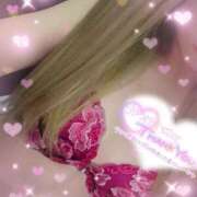 ヒメ日記 2025/11/17 11:29 投稿 いぶ 奥様プリモ